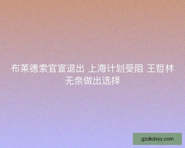 布莱德索官宣退出 上海计划受阻 王哲林无奈做出选择